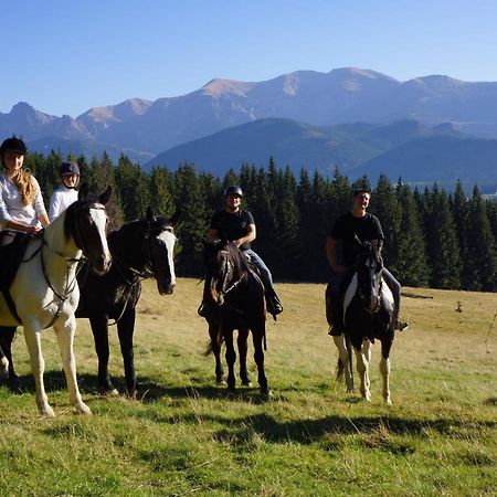 Maly Domek Pod Lasem Zakopane Exterior foto
