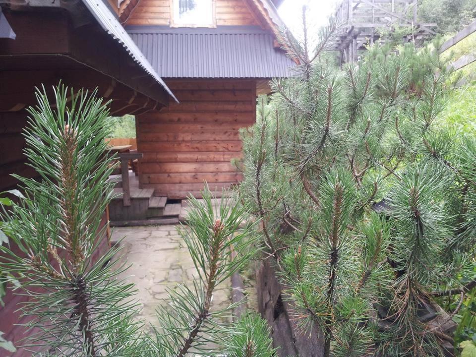 Maly Domek Pod Lasem Zakopane Exterior foto