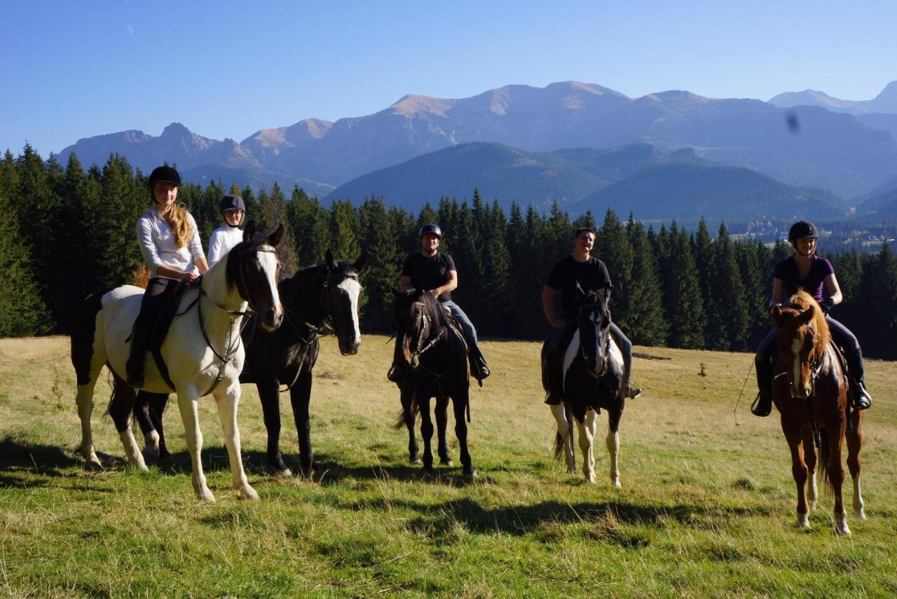 Maly Domek Pod Lasem Zakopane Exterior foto