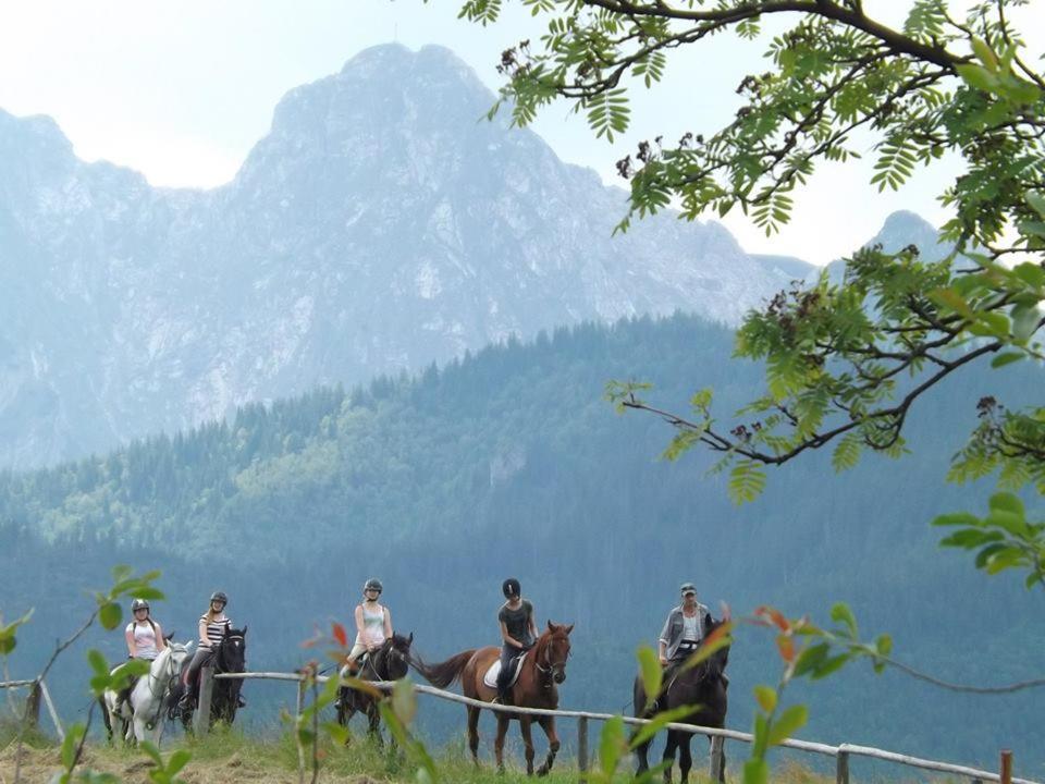 Maly Domek Pod Lasem Zakopane Exterior foto