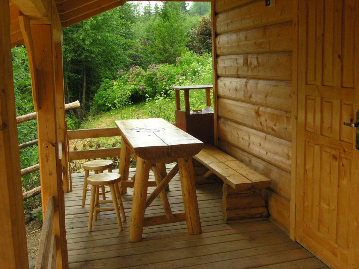 Maly Domek Pod Lasem Zakopane Exterior foto